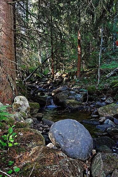 miljø1 Galleribilde