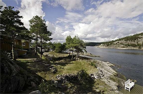 Gressplener og svaberg med naturlig basseng/vannreservoar i midten Galleribilde