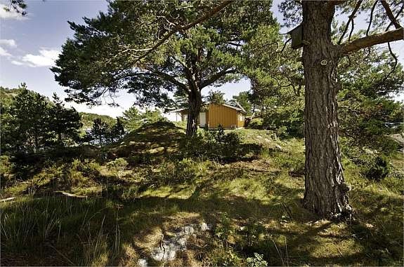 Hytta sett fra nord-vest Galleribilde