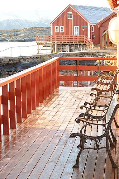 Håholmen idyll Galleribilde