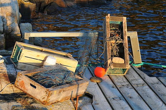 Hummerfiske rett utenfor bryggen Galleribilde