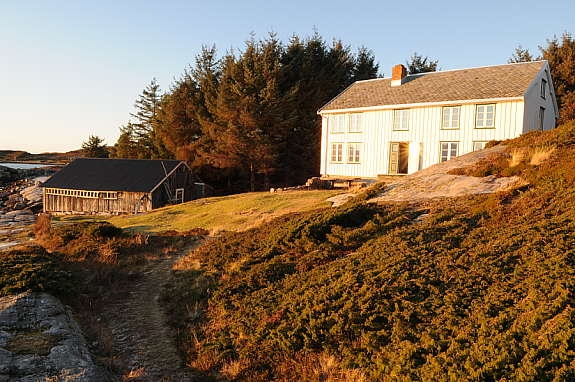 Vinterlys Galleribilde