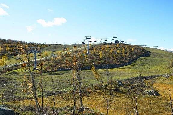 Kikutheisen - høst Galleribilde