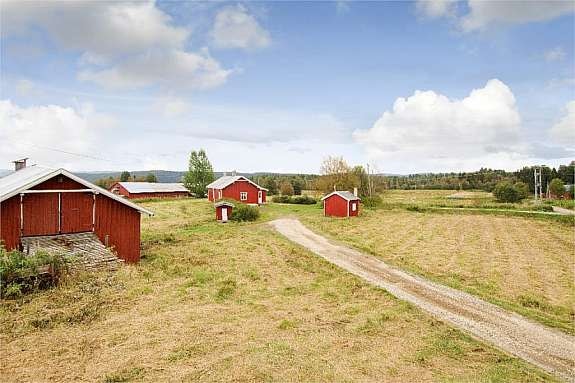 Hovedbilde Galleribilde