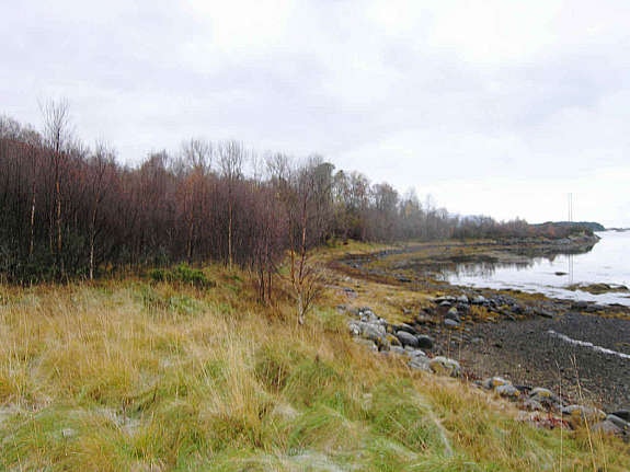 tomt langs sjøen2 Galleribilde
