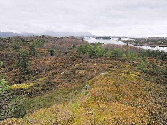Utsikt fra tomten2 Galleribilde