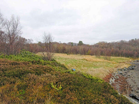 Del av tomt oppover fra sjøen Galleribilde