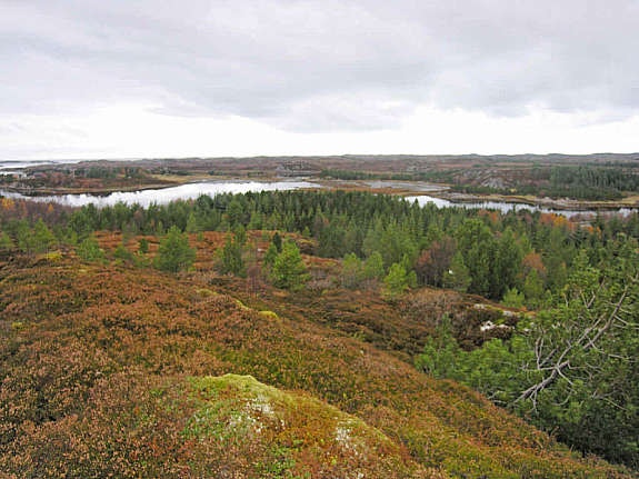 utsikt fra tomten4 (tomt er på hitsiden av sjøen) Galleribilde