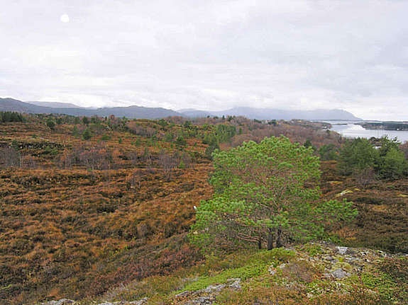 Oversikt over byggeområde på tomt Galleribilde