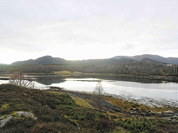 Oversikt over tomt Galleribilde