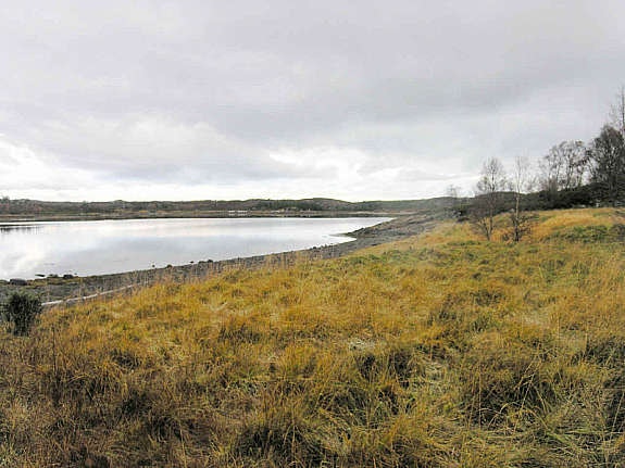 Tomt langs sjøen Galleribilde