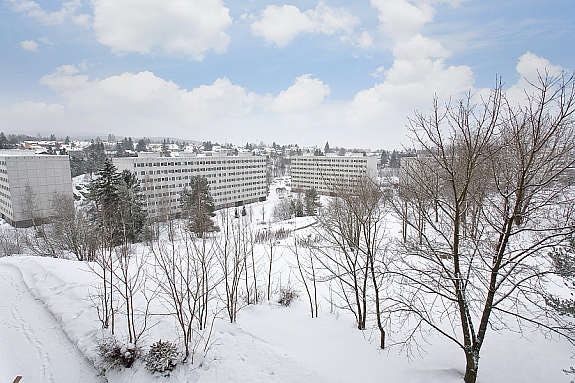 Det er store fine grøntområder mellom og rundt blokkene. Galleribilde