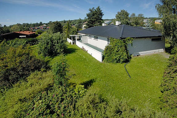 mastfoto__3_ Galleribilde