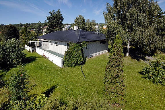 mastfoto__2_ Galleribilde