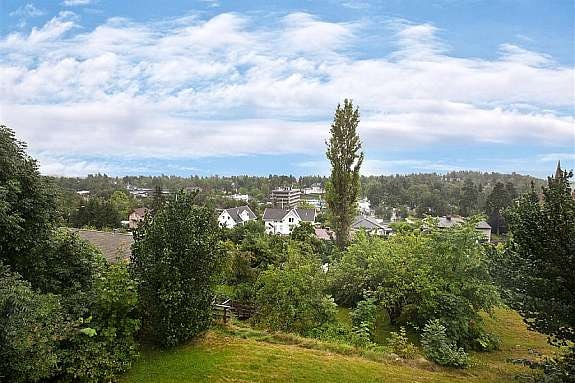 Del av utsikten Galleribilde