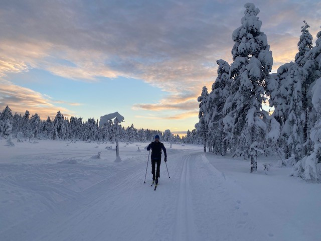 Ringkollen ligger rett i nærheten med gode aktivitetsmuligheter både sommer og vinter