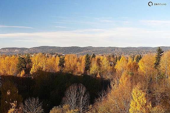 Hovedutsikt Galleribilde