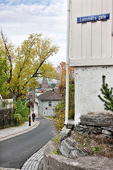 Lammers gate er tverrgate til Snipetorpgata, man spaserer hit på ett minutt. Galleribilde