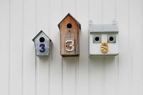 Fuglene har sine egne, små krypinn. Galleribilde