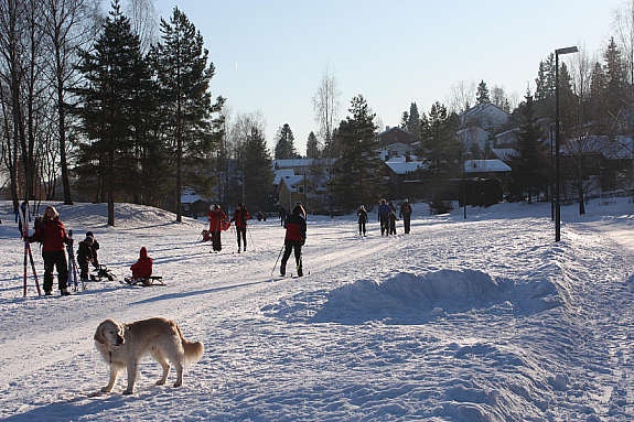 Vinteridyll Galleribilde