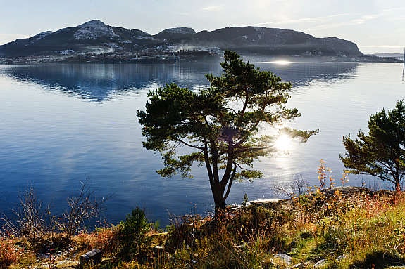 Utsiktbilde fra terrasse og hage. Galleribilde