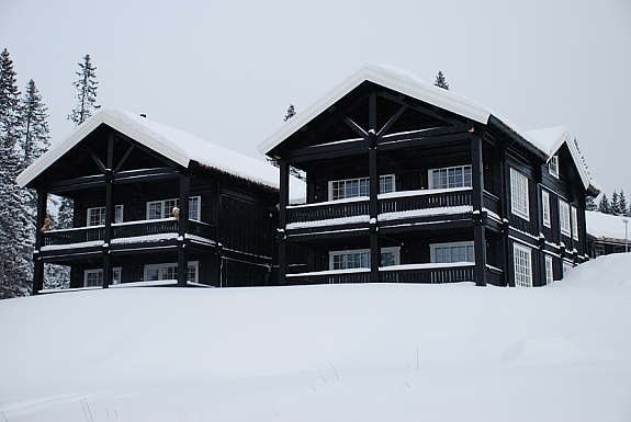 Fasade II Galleribilde