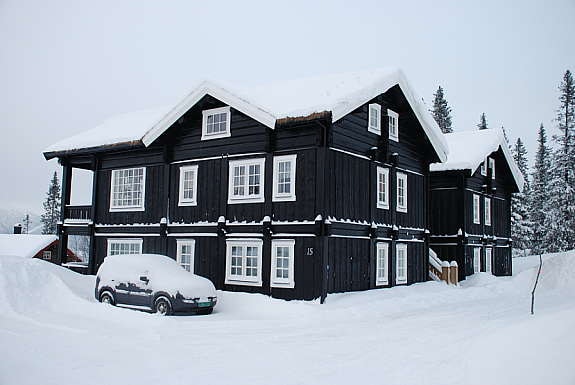 Fasade I Galleribilde