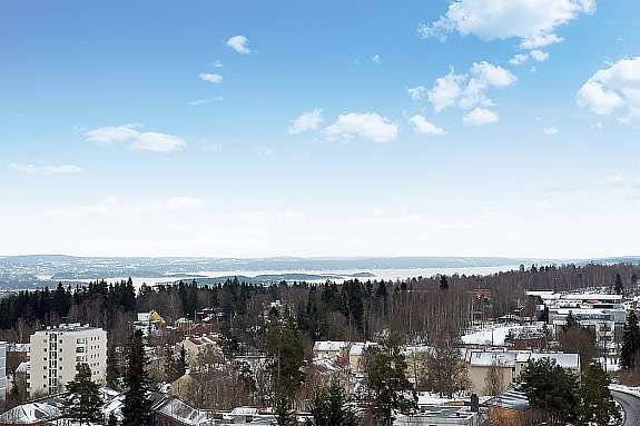 Fjordutsikt Galleribilde