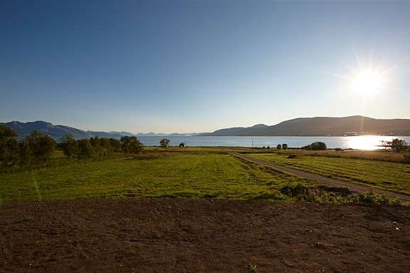 _G1D9286 Galleribilde