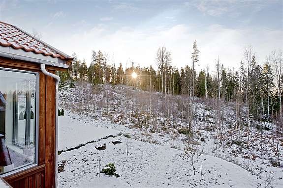 hagedel og terrasse som vender mot skogen og solen Galleribilde