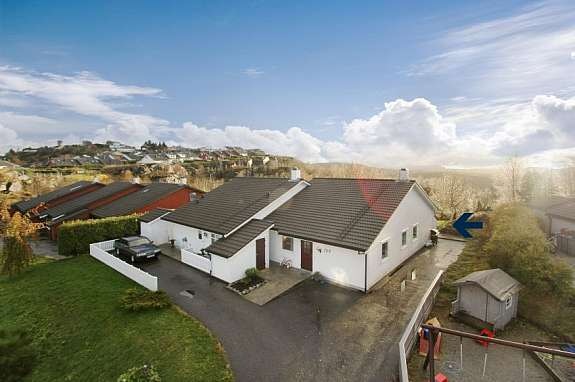 Mastfoto Galleribilde