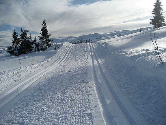 Fra skisporet Galleribilde