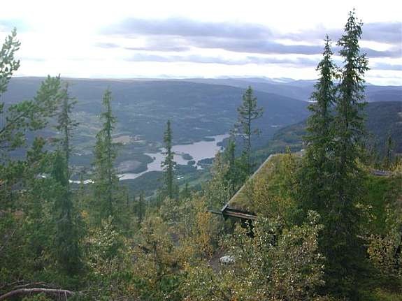 Sommer utsikt Galleribilde