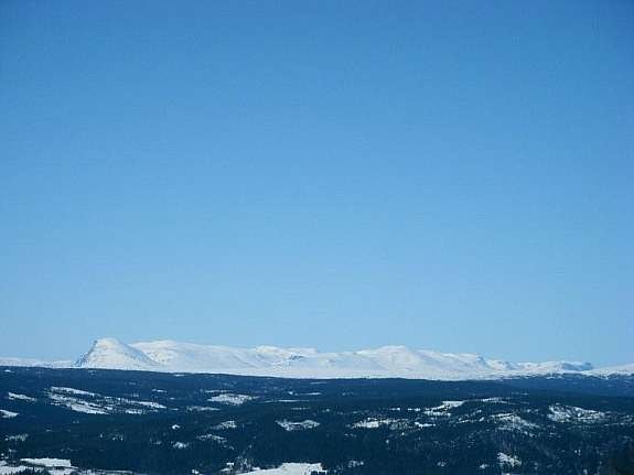 Utsikt til Skogshorn Galleribilde