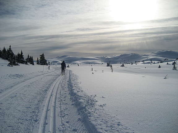Fra skisportet Galleribilde