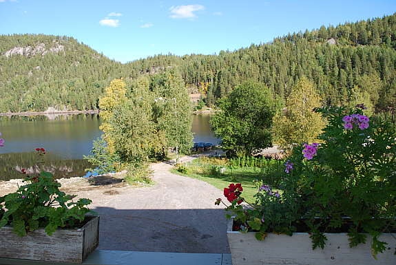 Oppkjørsel sett fra veranda. Galleribilde