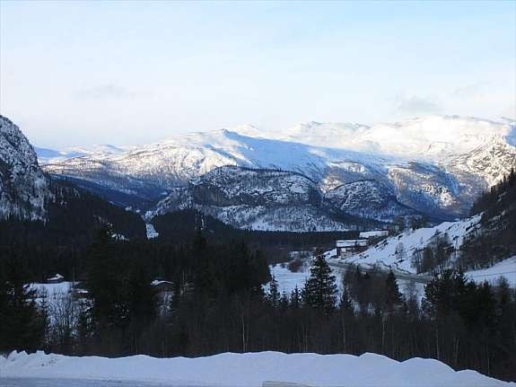 4074802 Galleribilde