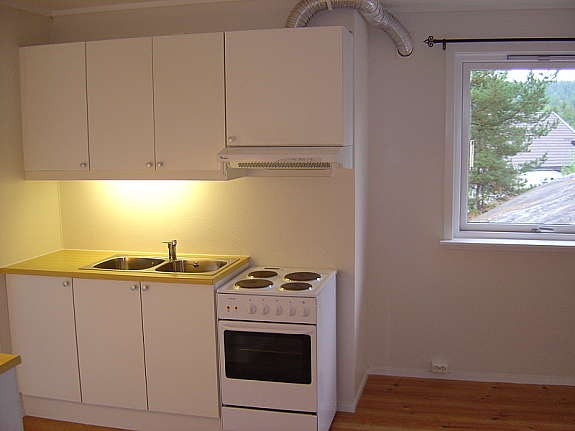 Stue/kjøkken Galleribilde