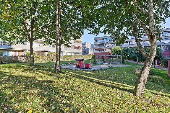 Flotte fellesareal med gressplen og prydbusker. Galleribilde