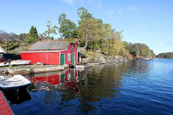 Hovednaust Galleribilde