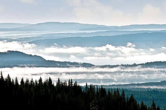 Nærhet til Natrudstilen Alpinanlegg, og umiddelbar nærhet til oppkjørt løypenett. Vest vendt og skrånende område med relativt kort avstand til serviceanlegg og kafè / restaurant i bunn av alpinanlegget. Galleribilde