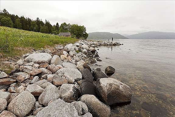 Strandlinje Galleribilde