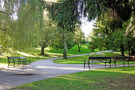 St. hanshaugen Galleribilde