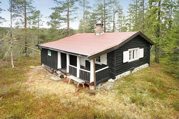 Mastfoto Galleribilde