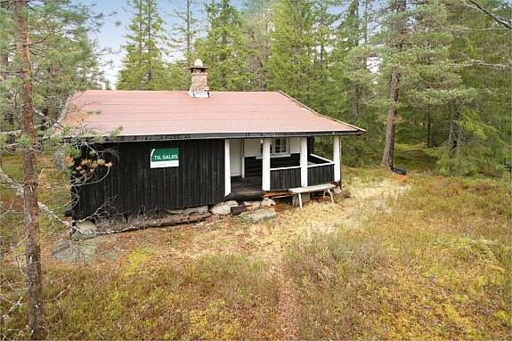 Mastfoto Galleribilde