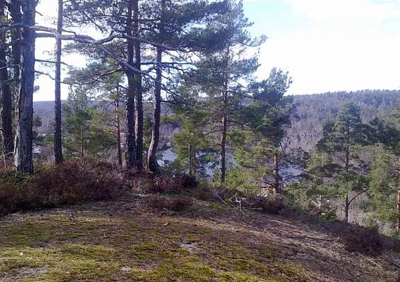 Usikt fra den tomten som ligger høyest. Her er det helt flatt .Ingen tomtekostnad for å begyne bygging Galleribilde