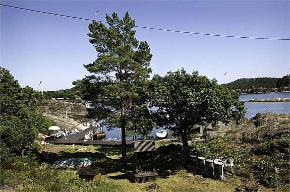 Stor gressplen med bryggeanlegget i bakgrunnen Galleribilde