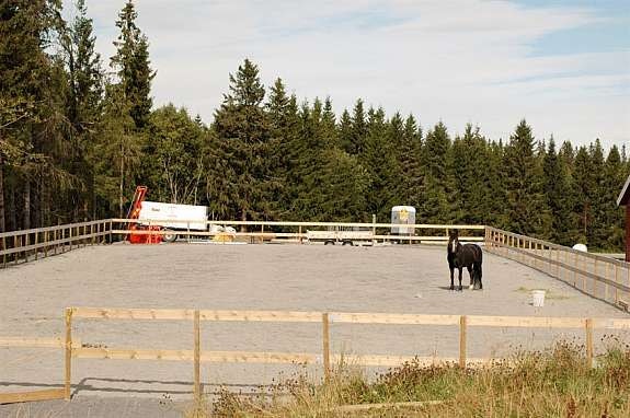 eiers_bilde_3 Galleribilde