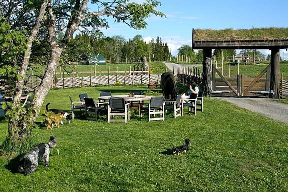 eiers_bilde_15 Galleribilde