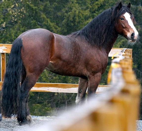 eiers_bilde_12 Galleribilde